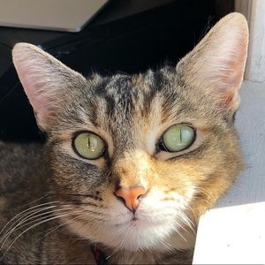 Meet your Posher, Gabriela